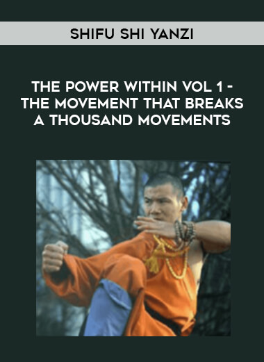 Shifu Shi Yanzi -The Power Within Vol 1-The Movement that Breaks a Thousand Movements download